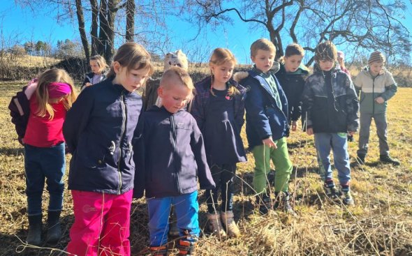 Obrázek galerie  20421