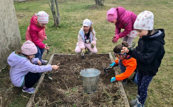 Obrázek galerie  20454