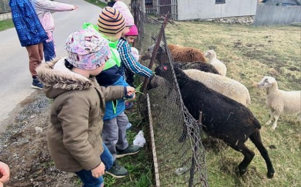 Obrázek galerie  20483