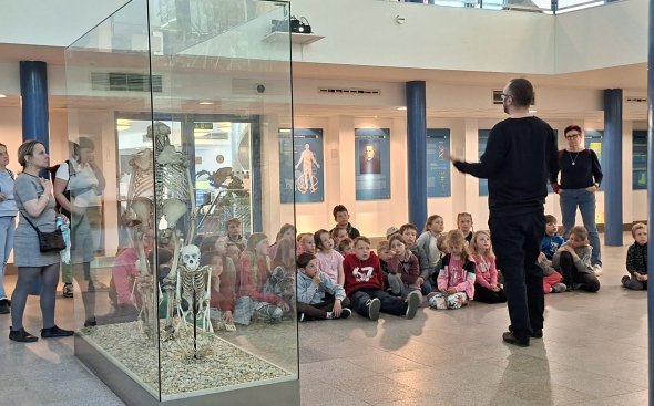 Obrázek galerie  20569